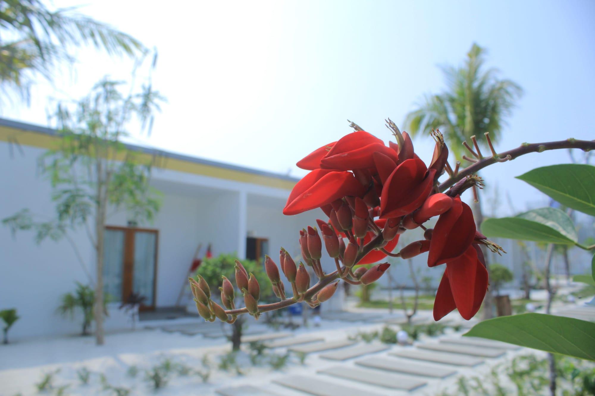 Long Set Resort Kaoh Touch Luaran gambar