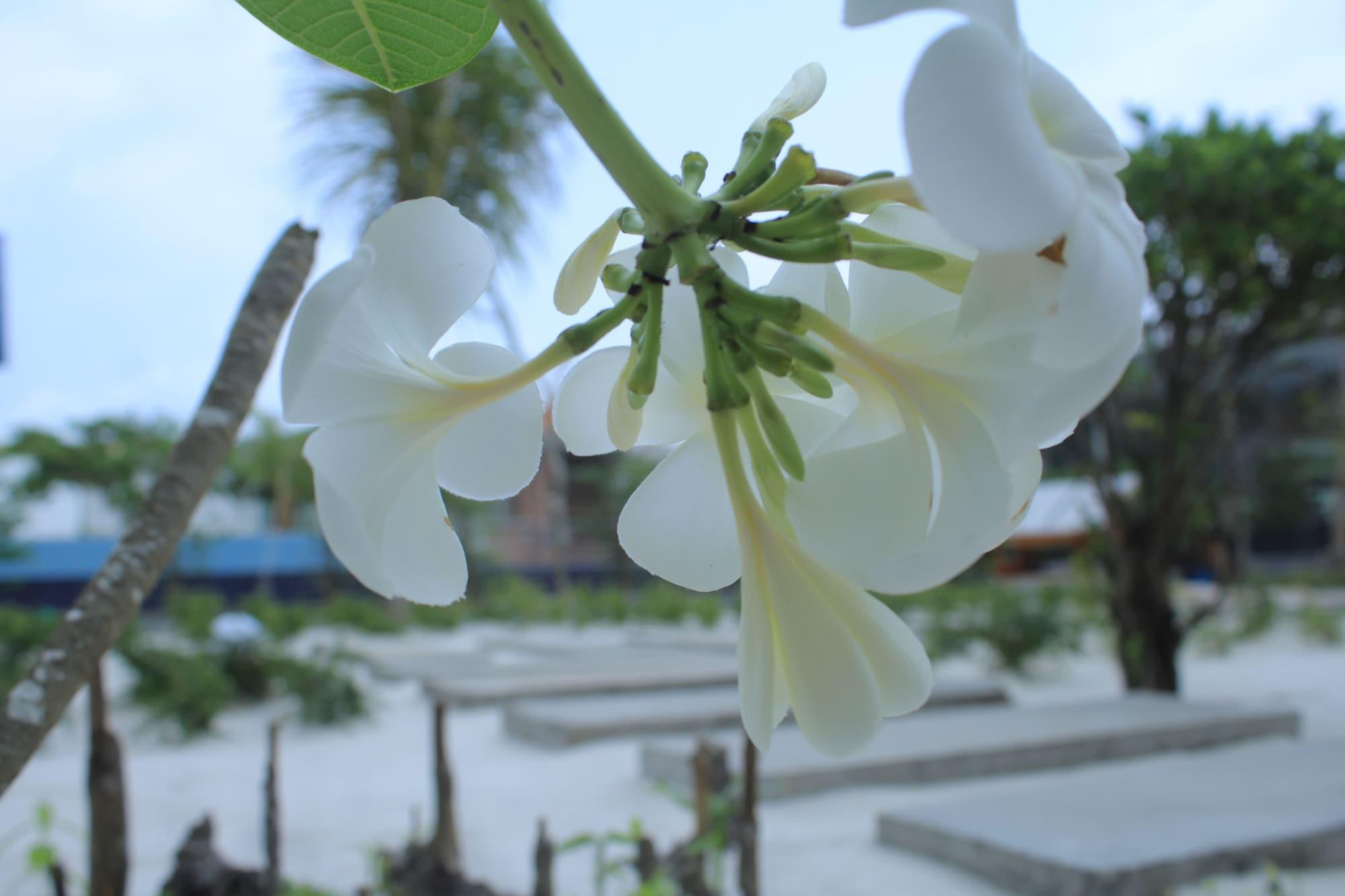Long Set Resort Kaoh Touch Luaran gambar